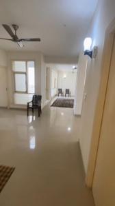 Hall Image of 2500 Sq.ft 4 BHK Apartment / Flat for rent in Sector 49 Faridabad for Rs. 28500