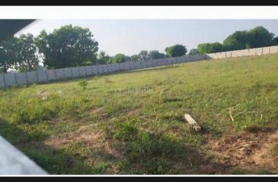 Agricultural Land