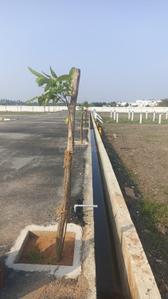 Image of 728 Sq.ft Residential Plot / Land for sale in Tech Valley Phase II, Chinnavedampatti, Coimbatore for Rs. 2380000