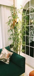 Bedroom Image of 1100 Sq.ft 3 BHK Apartment / Flat for sale in Vihal Aranya Spring, Sama Savli Vadodara for Rs. 8900000