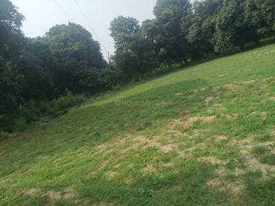 Image of 1000 Sq.ft Residential Plot / Land for sale in Amausi, Lucknow for Rs. 1700000