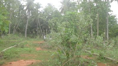 Image of 4630 Sq.ft Residential Plot / Land for sale in Kottakuppam, Puducherry for Rs. 5500000