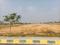 Ibrahimpatnam Plot View 2