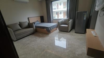 Living Room Image of 1000 Sq.ft 1 BHK Builder Floor for rent in DLF Phase 3 Gurgaon for Rs. 42000