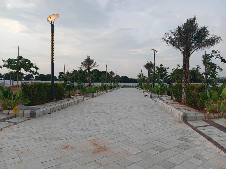 Kosalaa Main Image 1