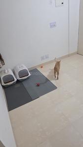 Hall Image of Coliving in Sector 99A, Gurgaon