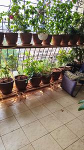 Balcony Image of 1284 Sq.ft 2 BHK Apartment / Flat for sale in KD Archana Hill Town, Kondhwa Pune for Rs. 8000000