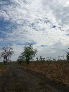 Image of 530 Sq.ft 1 RK Farm House for sale in Wanadongri, Nagpur for Rs. 1680000