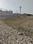 Prime Green City Main Image 1