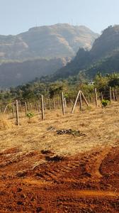 Image of 22000 Sq.ft Residential Plot / Land for sale in Shahapur, Thane for Rs. 5500000