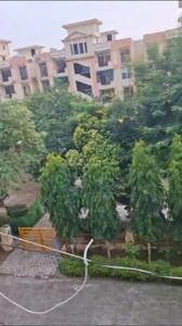 Image of 1200 Sq.ft 3 BHK Builder Floor for rent in SRS Pearl Floors, Sector 87, Faridabad for Rs. 16000