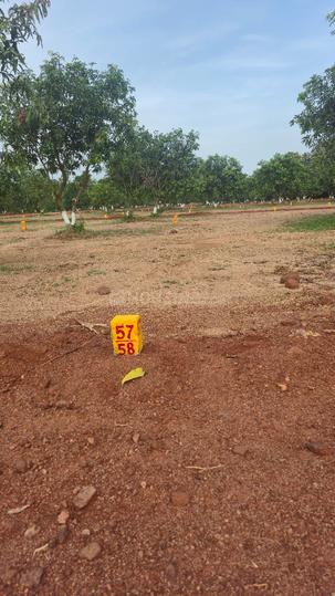 Bhogapuram Main Image 1