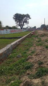 Tikra Plot View 3