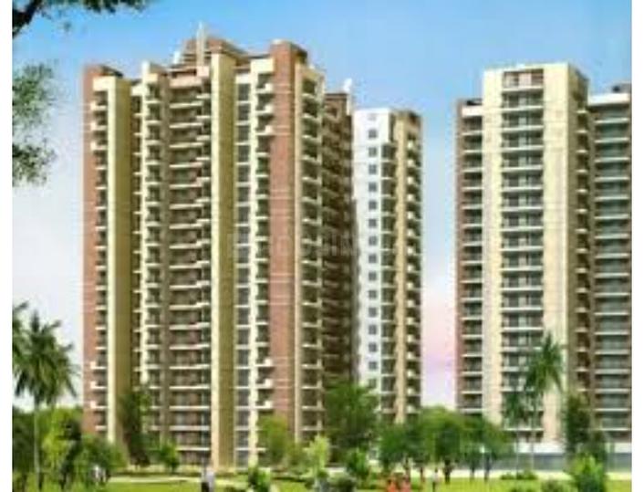 Skytech Colours Avenue Main Image 1