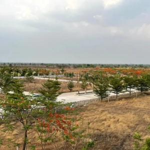 Image of 590 Sq.ft Residential Plot / Land for sale in Aranya City Of Woodland, Pacheda 1, Raipur for Rs. 590000