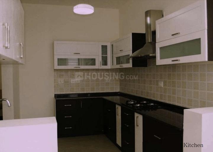 Lewis Glorious A2 Main Image 1