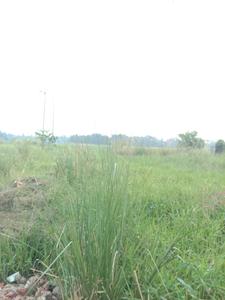Image of 2889 Sq.ft Residential Plot / Land for sale in Fresco Fountain City Plots, Sankharipota, Raypur for Rs. 880000