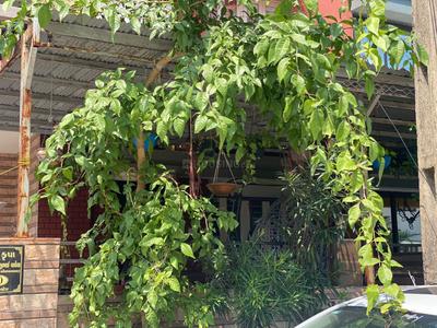 Image of 200 Sq.ft 3 BHK Independent House for sale in Ghuma, Ahmedabad for Rs. 2170000