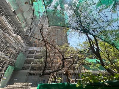 Balcony Image of 1377 Sq.ft 3 BHK Apartment / Flat for sale in Rohan Harita Phase 3, Tathawade Pune for Rs. 11000000