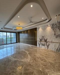 Hall Image of 1125 Sq.ft 3 BHK Builder Floor for sale in Naraina New Delhi for Rs. 20100000