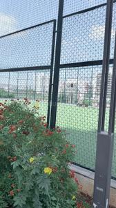 Balcony Image of 880 Sq.ft 2 BHK Apartment / Flat for rent in Pharande Puneville Phase II Cluster B, Pimpri Pune for Rs. 30000