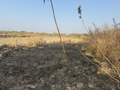 Image of 1089 Sq.ft Residential Plot / Land for sale in Invest Mahamumbai Plots In Chirle, Belondakhar, Navi Mumbai for Rs. 600000