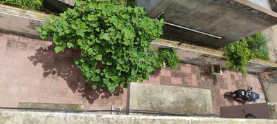 Image of 2654 Sq.ft 3 BHK Independent House for sale in Purushottam Nagar, Anand for Rs. 6000000
