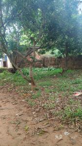 Image of 2000 Sq.ft Residential Plot / Land for sale in Chandaka, Bhubaneswar for Rs. 5000000