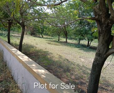 Image of 2700 Sq.ft Residential Plot / Land for sale in Bakeri Serenity Pastures, Lakshmanpura, Ahmedabad for Rs. 3510000