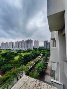Balcony Image of 711 Sq.ft 1 BHK Apartment / Flat for sale in Lodha Belmondo, Gahunje Pune for Rs. 6500000