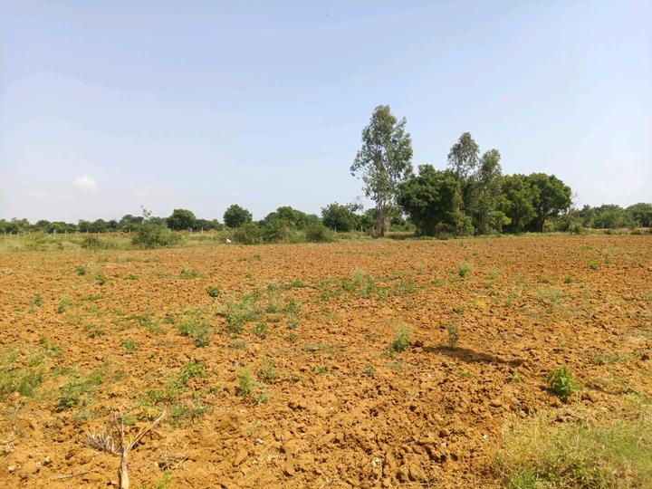 Alekhya NSR County Phase II Main Image 1