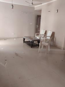 Hall Image of 1400 Sq.ft 3 BHK Apartment / Flat for rent in Terra Heritage, Sector 51 Bhiwadi for Rs. 20000
