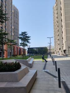 Image of 1450 Sq.ft 3 BHK Apartment / Flat for sale in Orchid Sky, Shela, Ahmedabad for Rs. 7800000