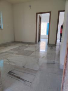 Hall Image of 1150 Sq.ft 3 BHK Apartment / Flat for sale in New Town Kolkata for Rs. 8200000