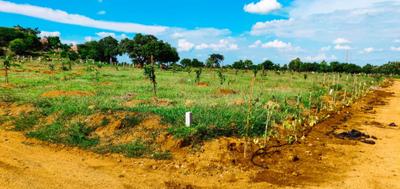 Image of 242 Sq.ft Residential Plot / Land for sale in Yadagirigutta, Yadadri Bhuvanagiri for Rs. 1500000