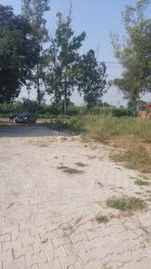 Image of 1863 Sq.ft Residential Plot / Land for sale in Shamli Rural, Shamli for Rs. 7500000