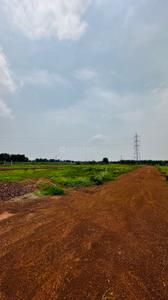 Image of 6000 Sq.ft Residential Plot / Land for sale in Paridhi Nidhivan Farm, Tatibandh, Raipur for Rs. 2850000