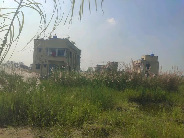 Metroplex City Main Image 1