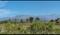 Karanpur Plot View 2