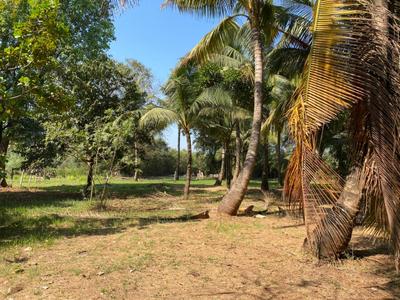 Image of 11000 Sq.ft Residential Plot / Land for sale in Nagaon, Alibag for Rs. 13200000
