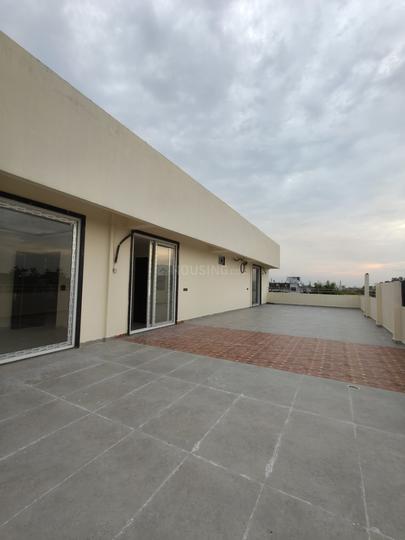 The pride Main Image 1