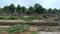Chandaka Plot View 2