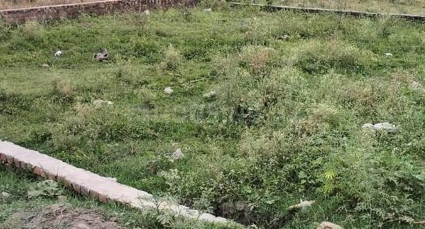 Deen Dayal Nagar Main Image 1