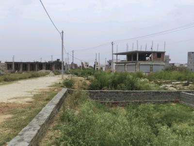 Chhapraula Plot View 2