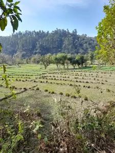 Image of 900 Sq.ft Residential Plot / Land for sale in Phulsani, Dehradun for Rs. 1650000