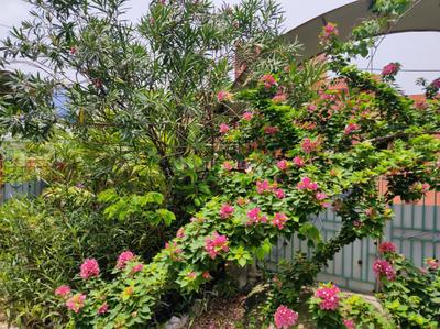 Image of 1075 Sq.ft 3 BHK Independent House for sale in RDB Regent Lakeview, Sankrail, Howrah for Rs. 5600000