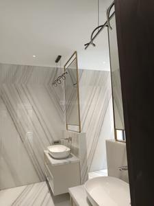 Bathroom Image of 8000 Sq.ft 4 BHK Builder Floor for sale in Panchsheel Park New Delhi for Rs. 250000000