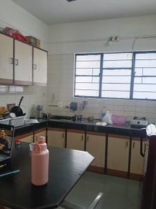 Kitchen Image of 600 Sq.ft 1 BHK Apartment / Flat for sale in Kothrud Pune for Rs. 8900000
