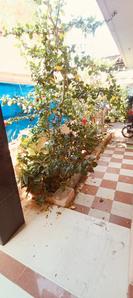 Balcony Image of Dreams  in Thudiyalur, Coimbatore