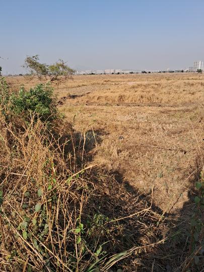 Sandor, Vasai West Main Image 1
